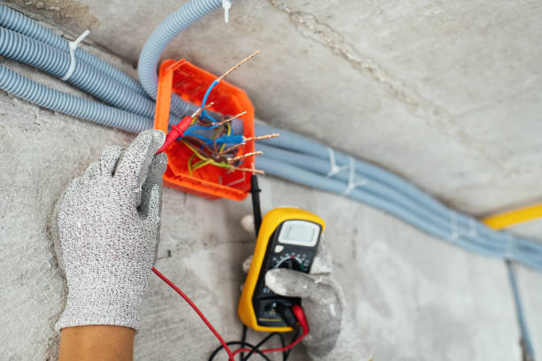 Best Electric Panel Repair  in Utica, NE
